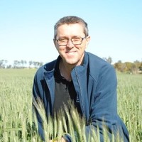 Greg Rebetzke