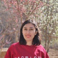 Farzane Ahmadi