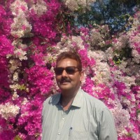 Rajiv Anand