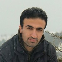 mousa safaei