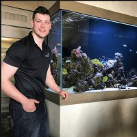 Benjamin Lucas Benjamin's Aquarium Services