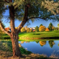 涂贞强