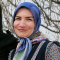 Somayeh Alemipasand