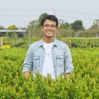 Hieu Hoang