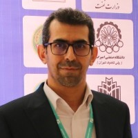 Seyed Mojtaba Najafi