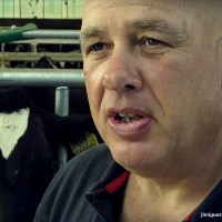 Anton Camarero Suanzes