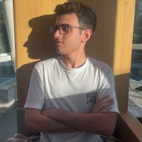 Pedro Henrique Boldori Bier