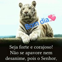 Rose Figueredo
