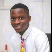 Ibikunle David Oluwaseyi