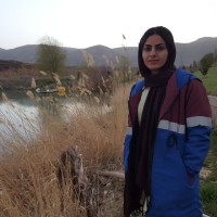 Parisa Ghanbari