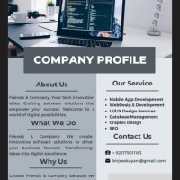 Friends And Company The It Solutions