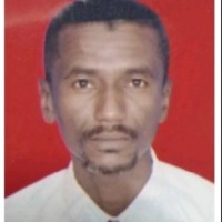 abubakr Hamid