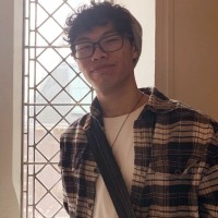 Domenick Hong