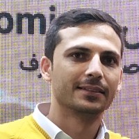 mohammad taghi heydari