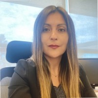 Viviana Ibarra