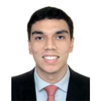 Renzo Martin Yañez Fernandez