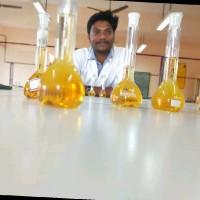 Vignesh K