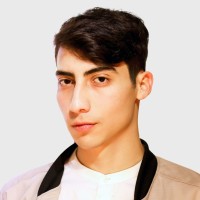 Darien Santibáñez
