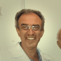 Rogerio A P Silva