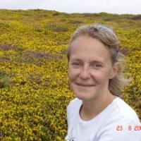 Claire Levallois