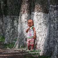 Phan Tam