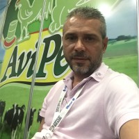 Marcelo Miranda Gomes