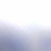 毛建雄