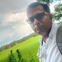 Shibu Saha