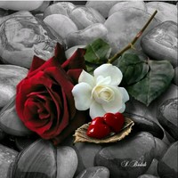 Nihat Asemani