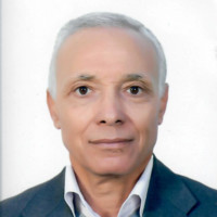 kamel jarray