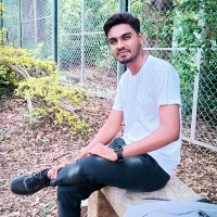 Naveen D V