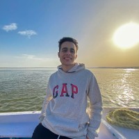 Ali Emad