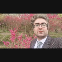 Esmail Tootoonchi