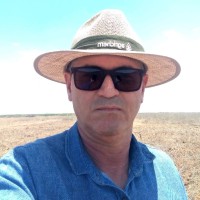 Alessando Cavalachi