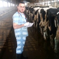 Talip DEMİROK