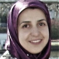 H Mohseni