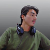 Taha Malick