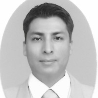Ing. Gerardo Pérez Flores