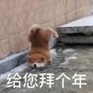 谢浩宇