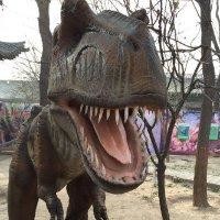 韩建林