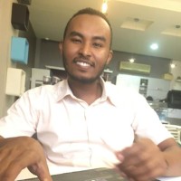 Abbas Hassan Elmadani