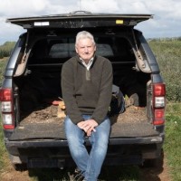 Ray Jenkins