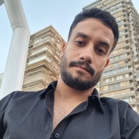 Ahmed H Anwar