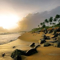 Suhasini A