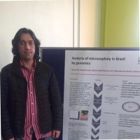 Mohammed Alsafi