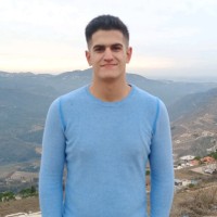 Ali Hamzeh