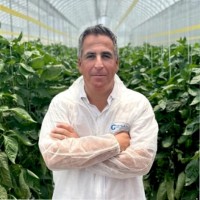 Mauricio Revah