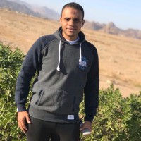 Mahmoud Assal