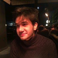 Halis Ayberk Erdem