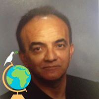 Nick Mostafavi